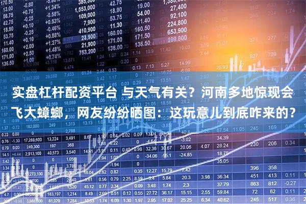实盘杠杆配资平台 与天气有关？河南多地惊现会飞大蟑螂，网友纷纷晒图：这玩意儿到底咋来的？