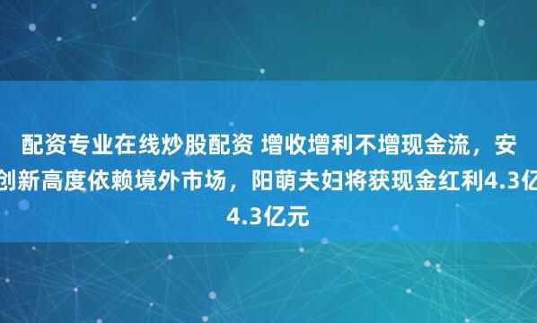 配资专业在线炒股配资 增收增利不增现金流，安克创新高度依赖境外市场，阳萌夫妇将获现金红利4.3亿元